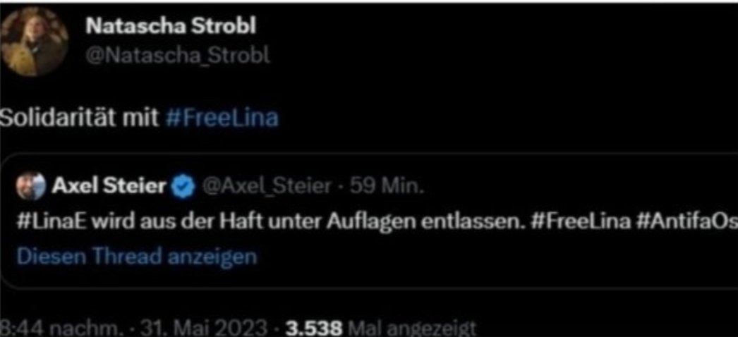Die ÖRR Rechtsextremismus Expertin Natascha Strobl solidarisierte sich mit der Linksterroristin Lina E. (Antifa Ost). #OerrBlog