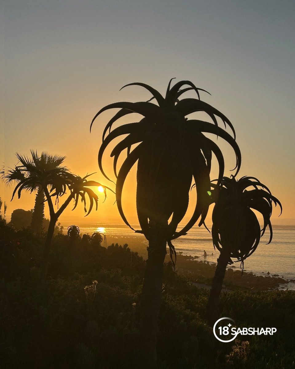 Wade73486719's tweet photo. Summer in Cape Town is so inviting!☀️🫶🏾
#Corona100 #ThisIsLiving #ad https://t.co/DQdf6gqAZ0