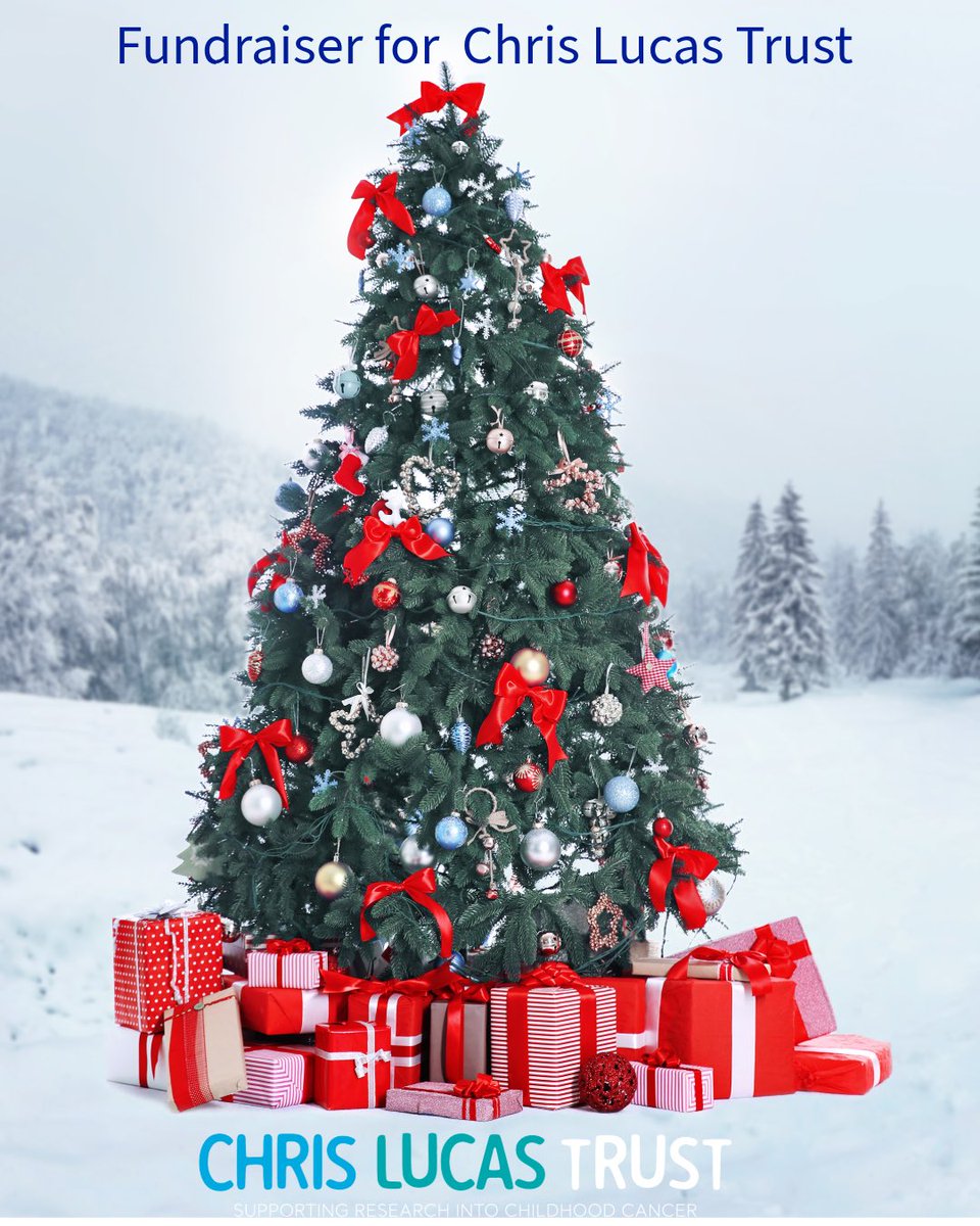 This Christmas, we’re encouraging workplaces to support the Chris Lucas Trust, a charity funding vital research into childhood cancer. Whether it’s a Christmas Jumper Day, a charity raffle or a festive coffee morning, your team can make a real difference.#CorporateGiving
