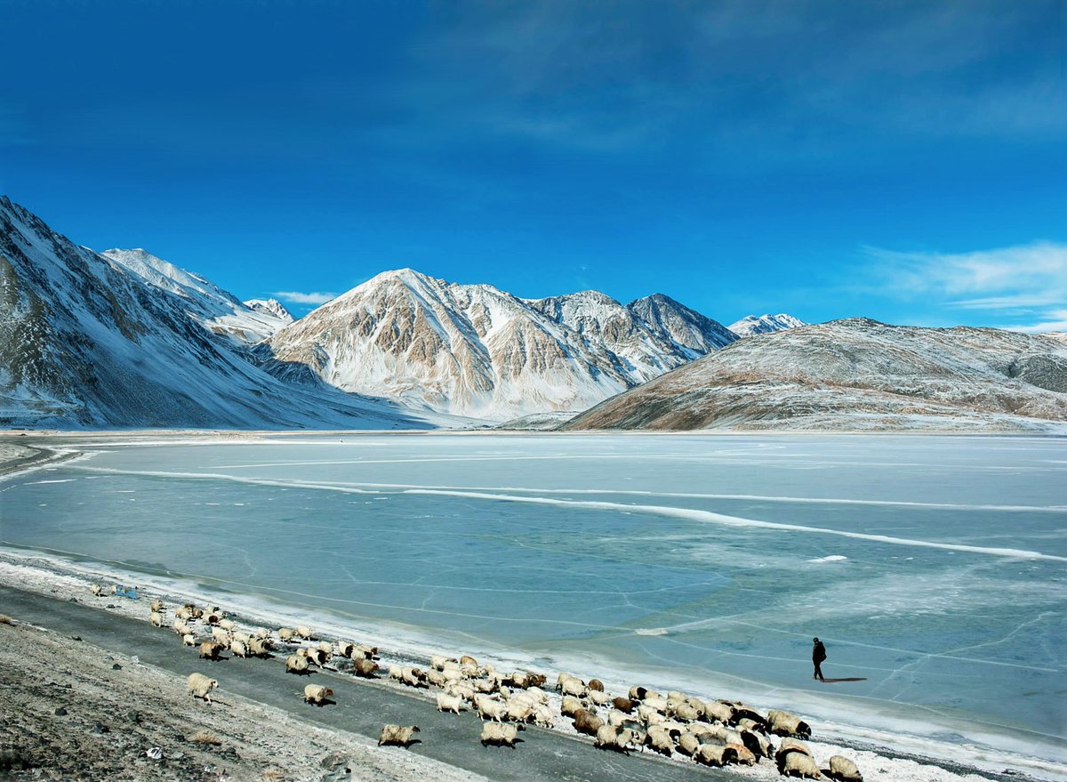 Kyang Thang རྐྱང་ཐང་ tweet media