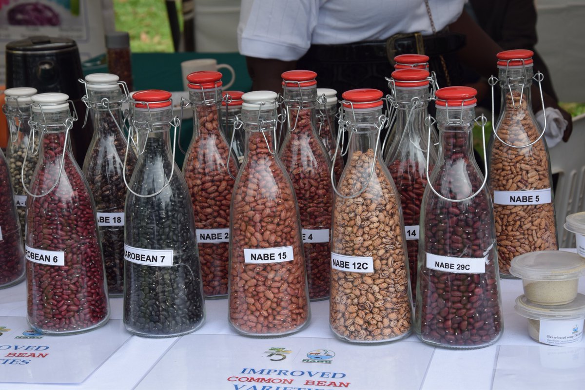 Bulindi ZARDI tweet media