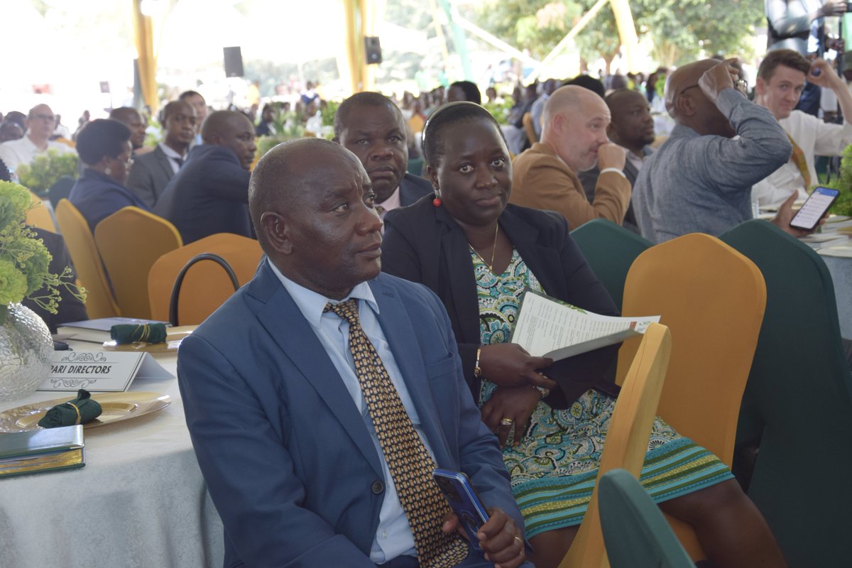 Bulindi ZARDI tweet media