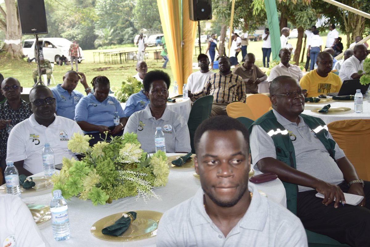 Bulindi ZARDI tweet media