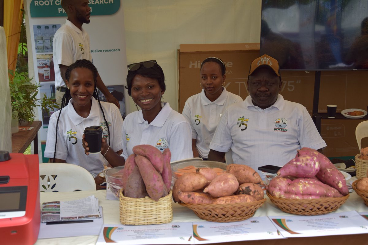 Bulindi ZARDI tweet media