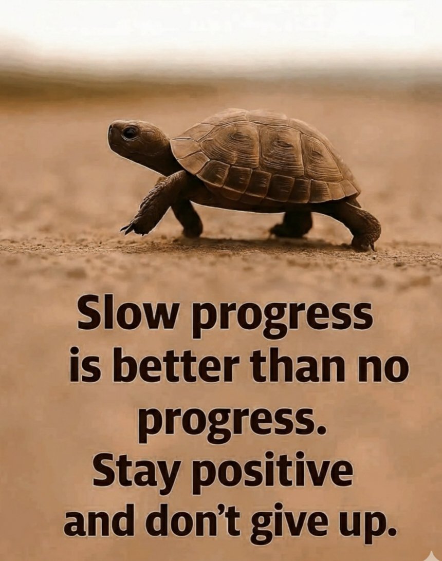 SALAUDD62746471's tweet image. #KeepGoing #SlowProgress #StayPositive #NeverGiveUp #Motivation