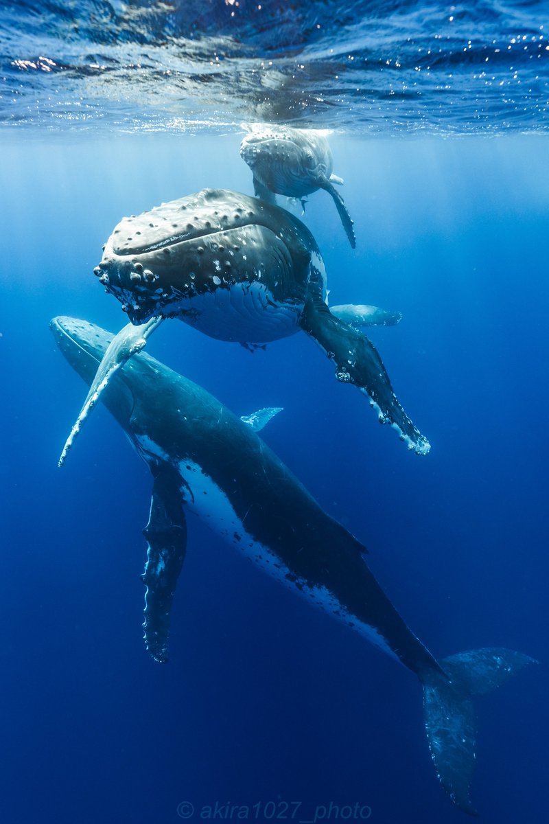 あき (@akira1027_photo) / Posts / X