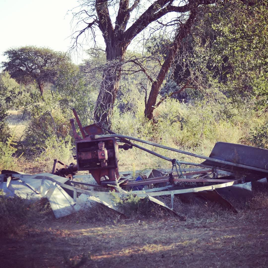 KameelHuise's tweet photo. Yes windmills do get broken in a windstorm.
Lose the fear of being wrong.
All pictures tell a story.
#KameelZA
#Kameelhuisetussenspore #Stasiemeester #Noordwes #windpomp https://t.co/mkgQ8bhQ81