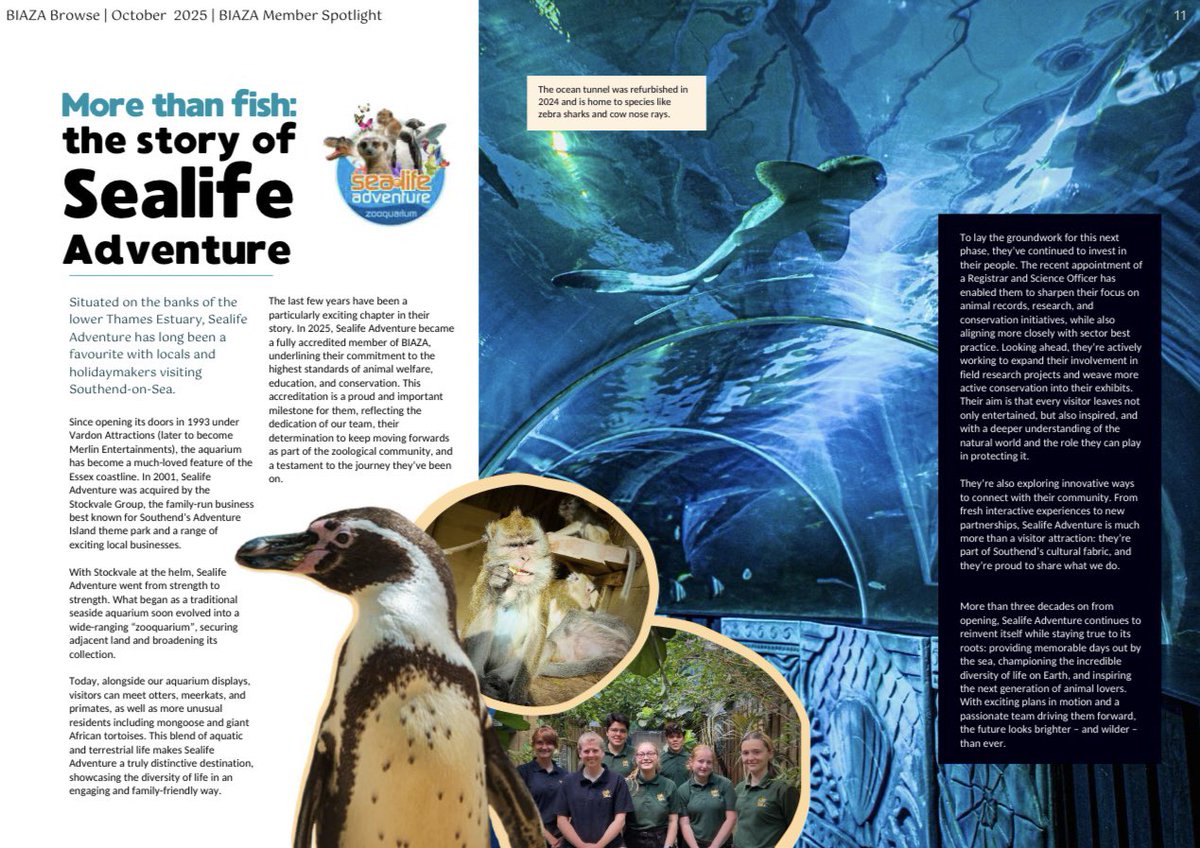 We’re in the spotlight! 🌟

Sealife Adventure is featured in the latest <a href="/BIAZA/">BIAZA</a> Browse magazine, a proud moment for our corner of the Thames Estuary! 💙

Fresh off achieving Accredited Status, we’re shining brighter than ever✨

#VisitEssex #SouthendOnSea #BIAZA #BIAZABrowse