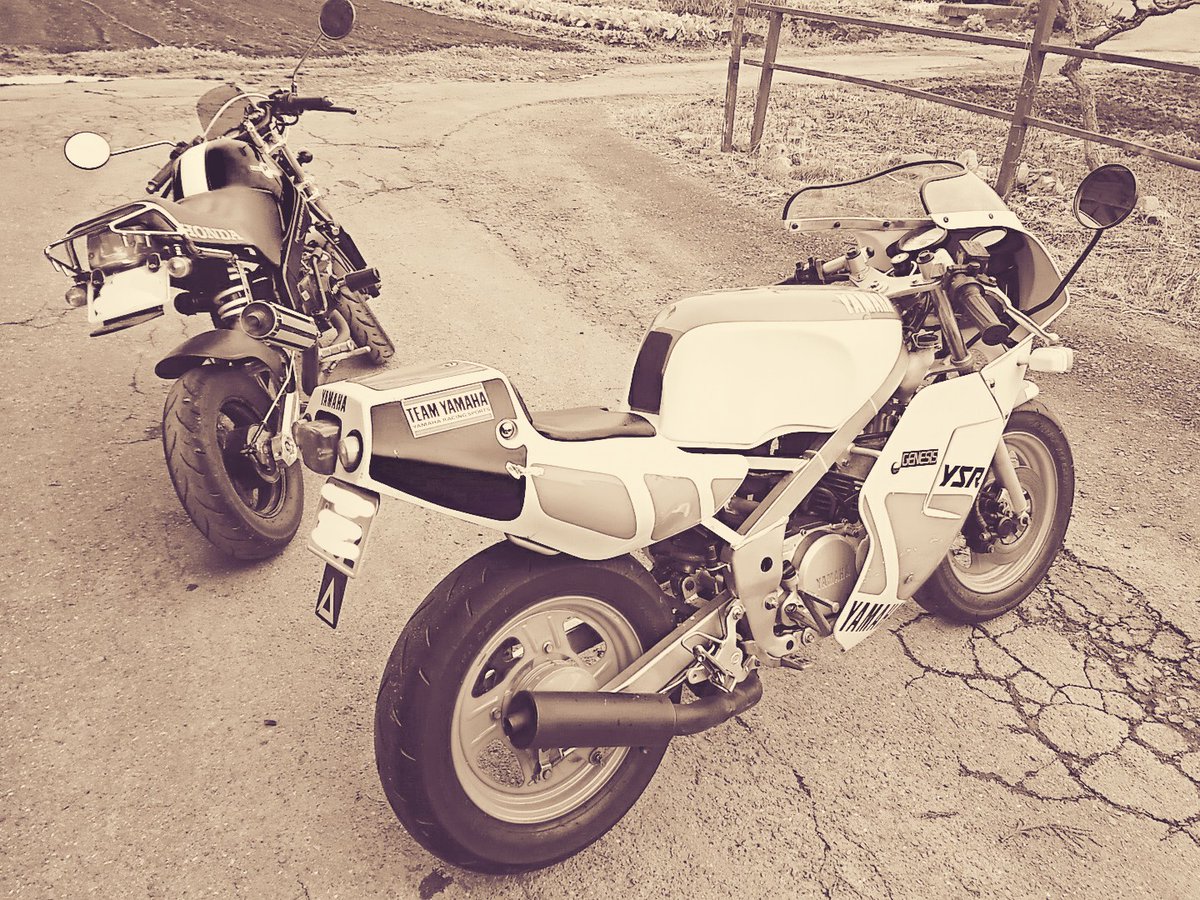 NB37797577's tweet image. 原付は資産だから、何台あってもヨシ！