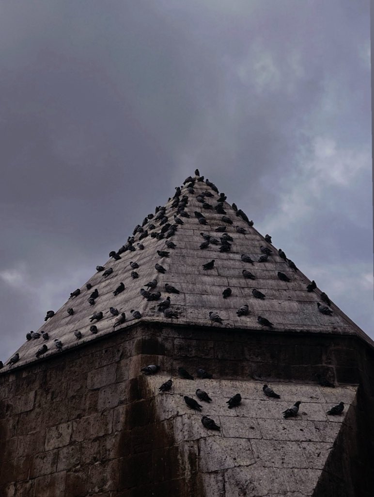 Kuşların, konacağı da soluklanacağı da yeri insanlardan iyi bilmesi…