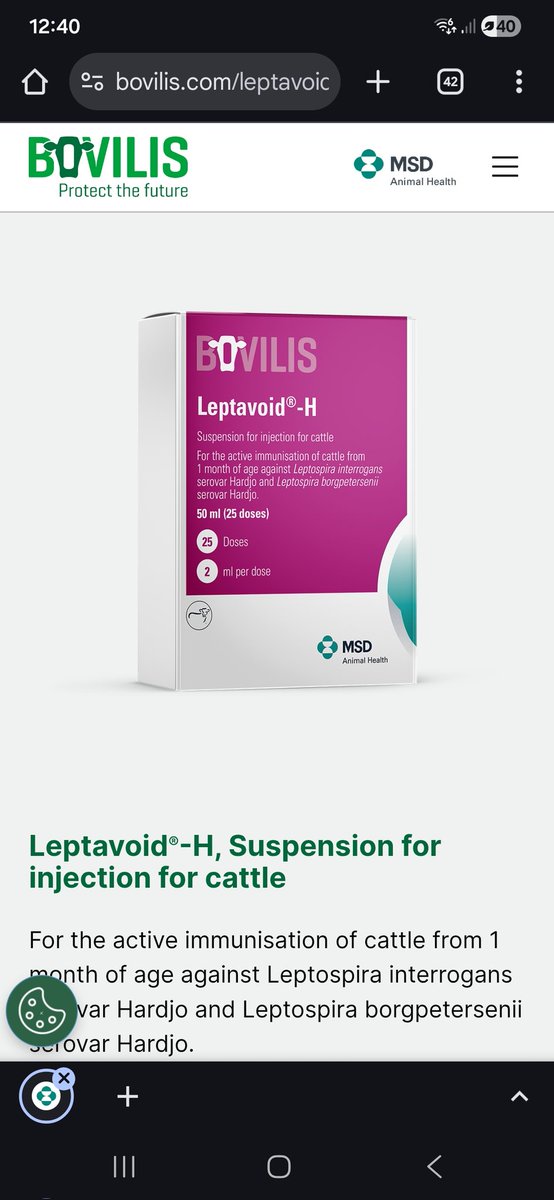 Patrick Mc Carthy tweet media