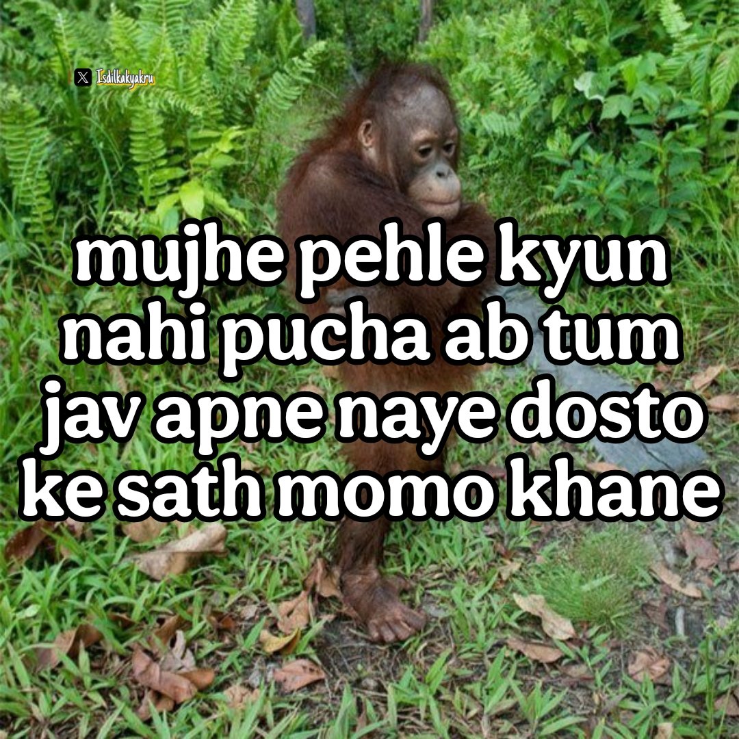 Esa ek dost sabka hota hai 😹