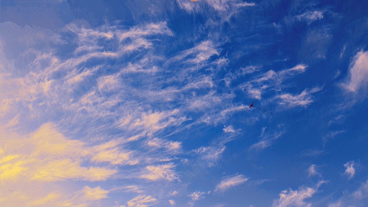 the bird was a paid actor