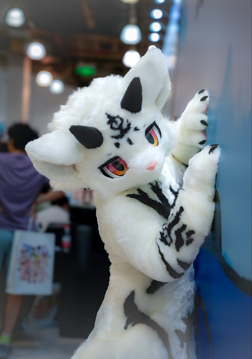 RongCChang's tweet photo. 再看就要给你按墙上了！

📷：@ruobai_zzh 

#Fursuitfriday https://t.co/rlhQjxKMni