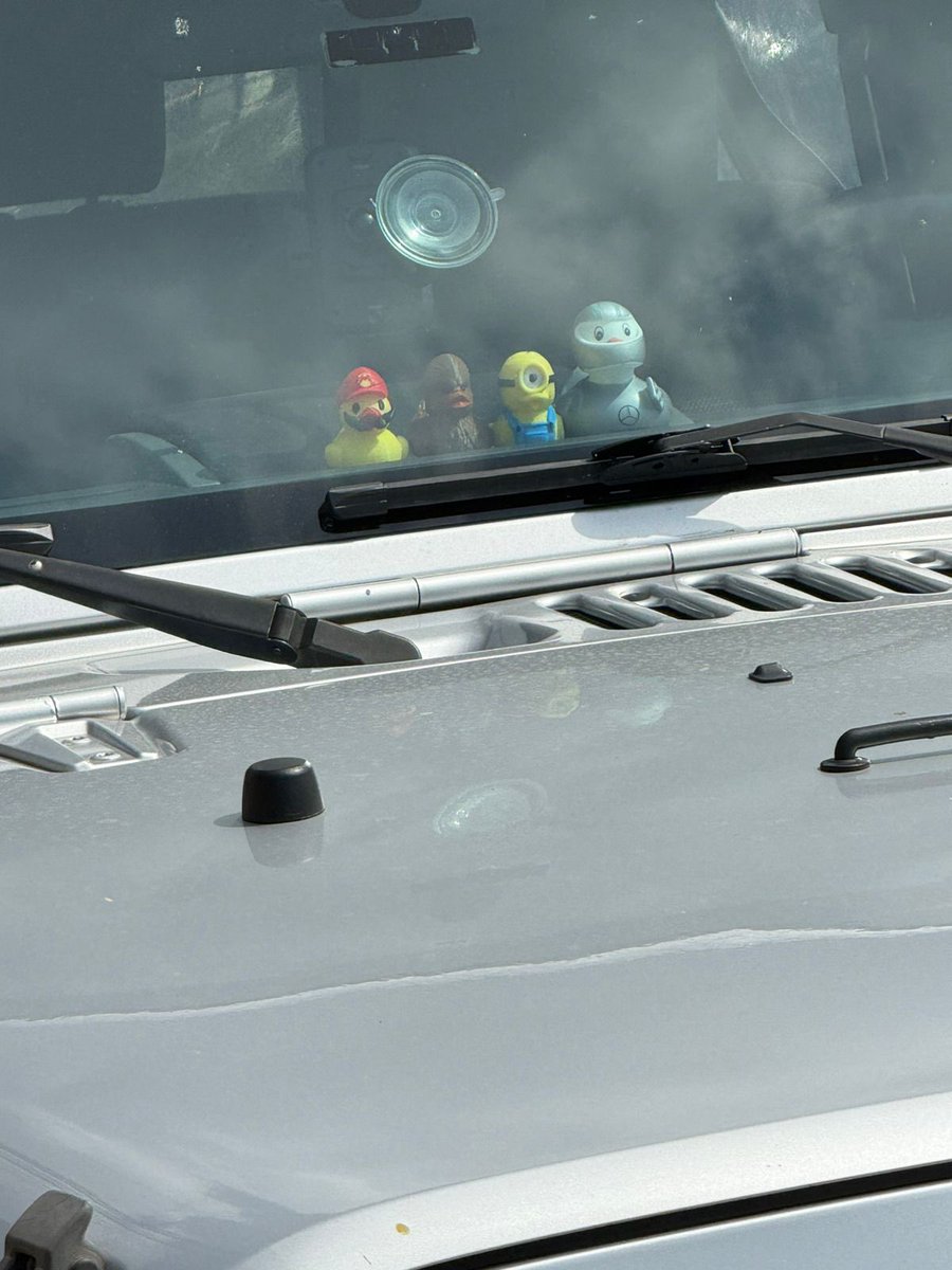 aztuli's tweet photo. Hoje é o MELHOR dia da minha VIDA 
Eu vi um OUTRO JEEP COM PATOS NO PAINEL
EU TO MT FELIZ 
Meu Fubico tem um irmãozinho na cidade eu to chorandoooo https://t.co/l0p0uufoIs