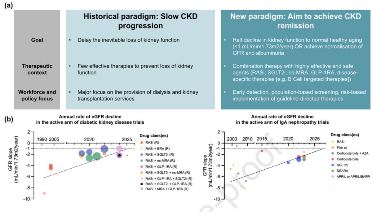 El panorama actual del tratamiento de la enfermedad renal crónica ha pasado de un paradigma de desaceleración de la inevitable pérdida de función, a uno de preservación y mantenimiento, logrando así lo que puede definirse como remisión

Kidney Int 2025
doi.org/10.1016/j.kint….