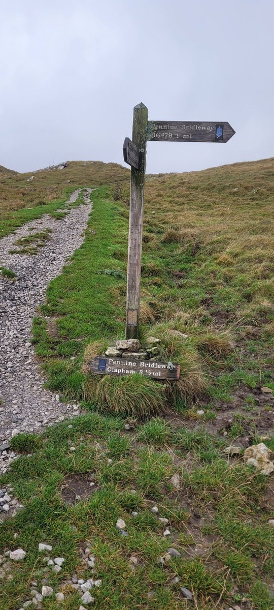 lycra lout tweet media