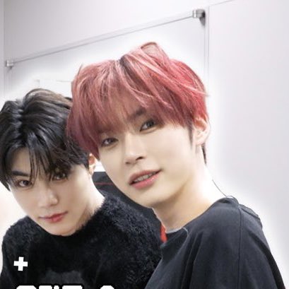 왜 아무도 내 고양이한테 너 귀 나왔다고 말을 안해줬지