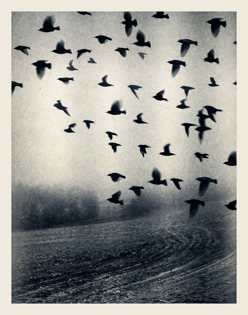 KamilaKansy's tweet image. 