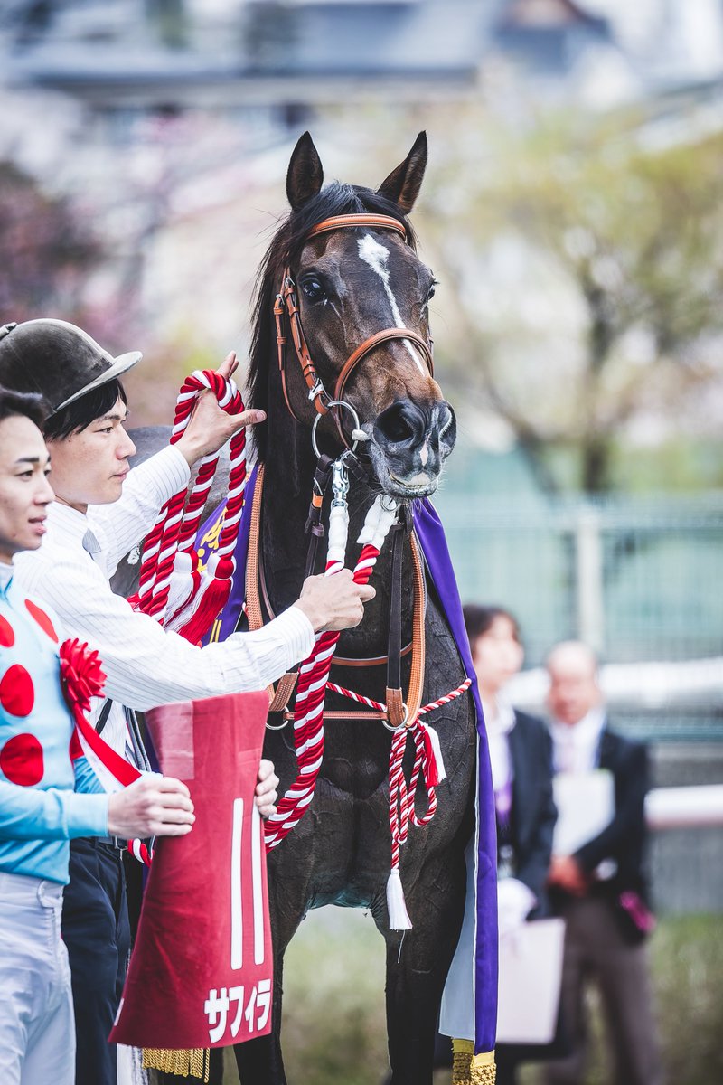 サフィラ #エリザベス女王杯2025