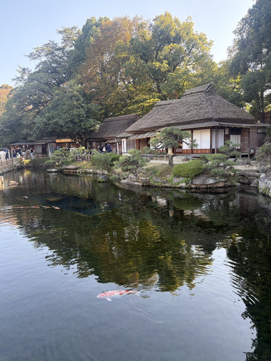 岡山の思い出①後楽園
とても素敵な庭園でした！さすが日本三名園のひとつ。これで兼六園、偕楽園、後楽園すべてに行きました🙆‍♂️