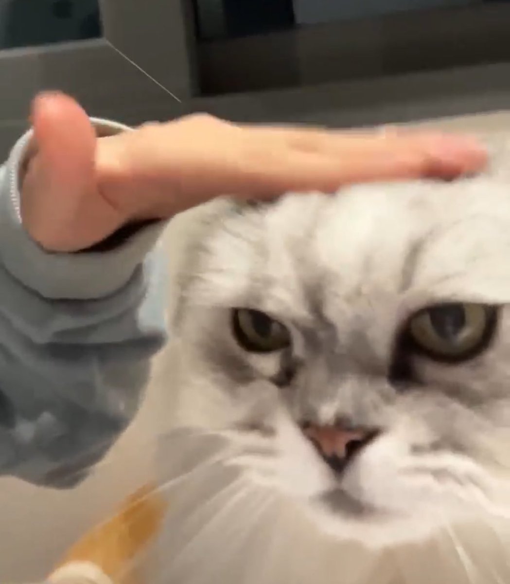 매끈매끈하다매끈매끈한
푱푱하다푱푱한

효비: