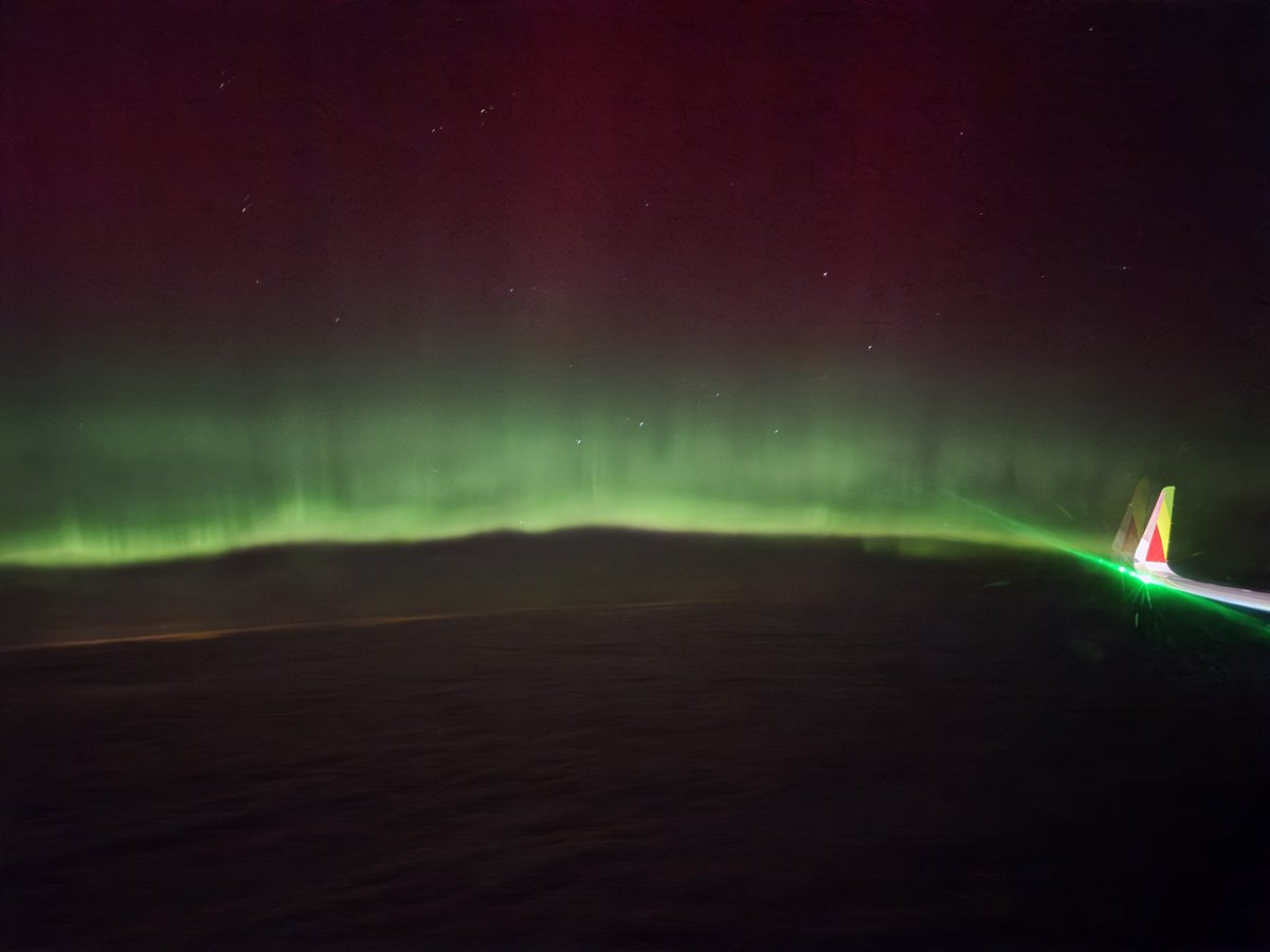 Bruno Teixeira 🇵🇹 🛫CT2HUU tweet media