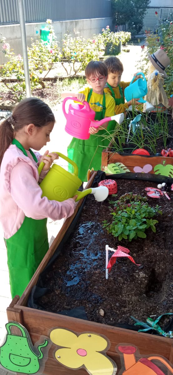 Los alumnos de 2º de primaria disfrutan cuidando y regando nuestro huerto escolar. ¡Aprenden mientras hacen crecer la vida! #yosoydelelvira @megustamicole #puedescontarconmigo