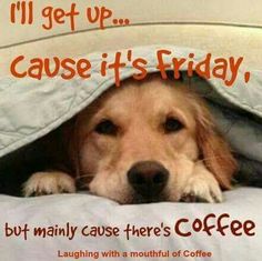 TGIF, peeps. *wanders off to find more coffee*