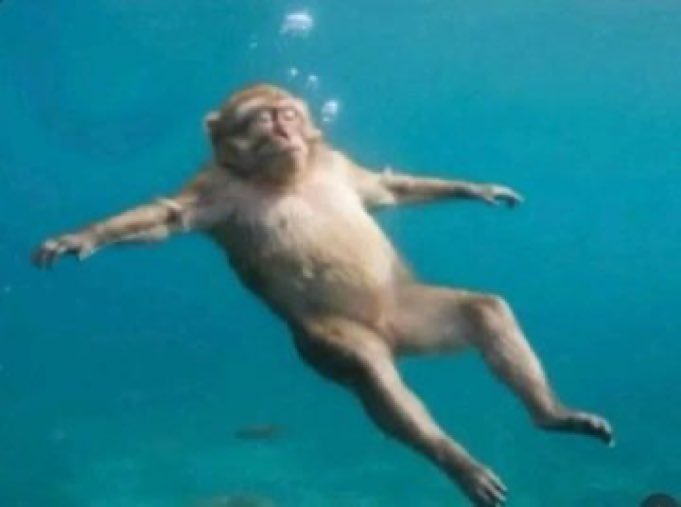 I have to feel every vibe of the Ocean ASAP😂😂😂