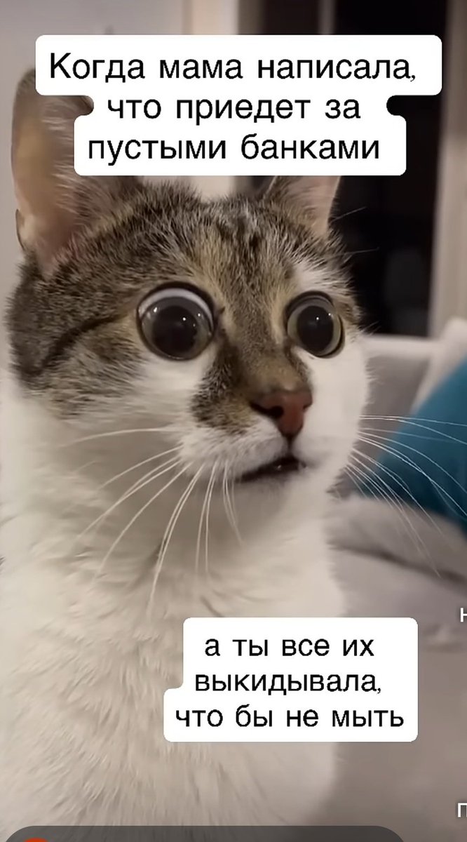 Таблетка. (@tabletka1975) on Twitter photo 