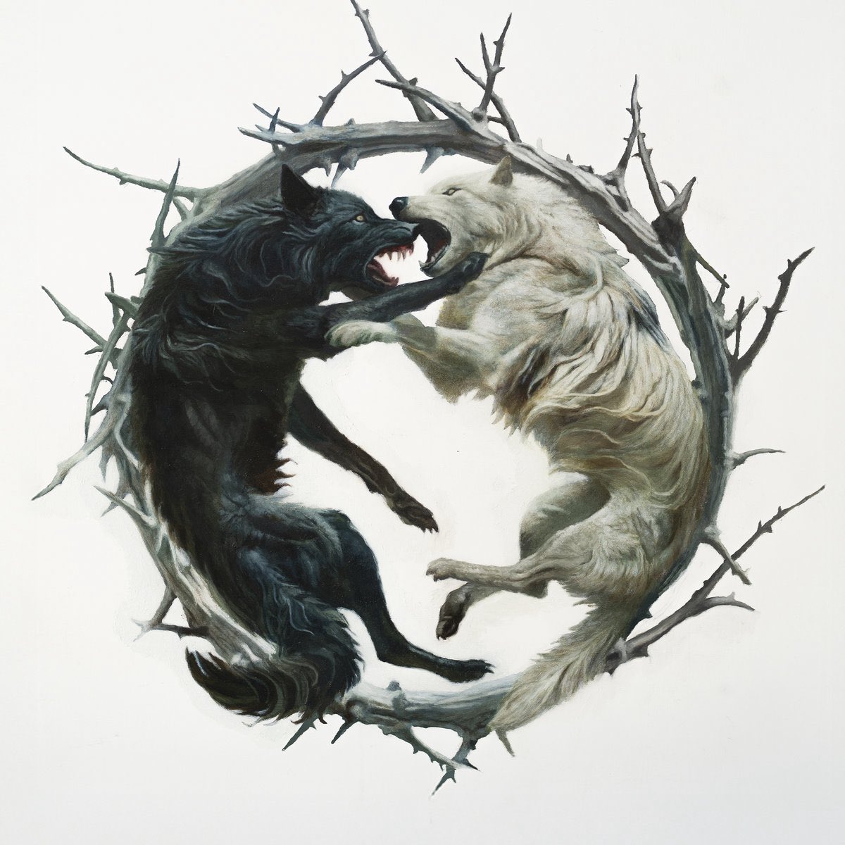 Steel Shout tweet media