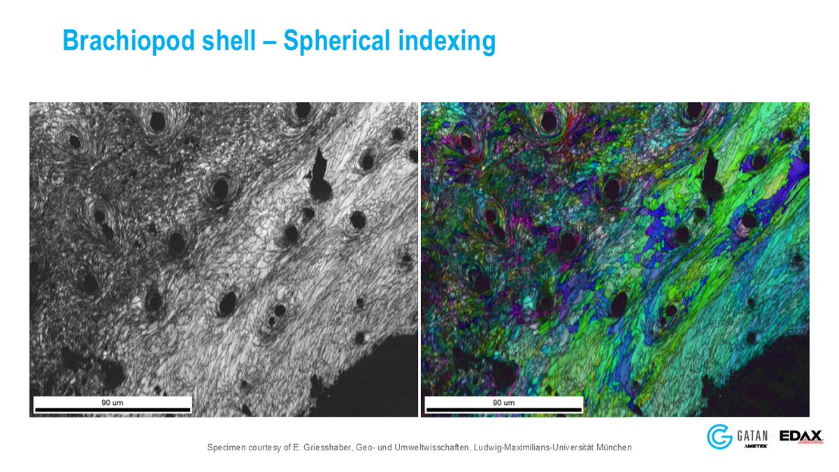 Did you miss yesterday's "Advances in EBSD for geological materials: The impact of spherical indexing and experimental master pattern simulation" webinar? Don't worry, you can watch it on-demand at your leisure. youtu.be/Ch2gFZBuVSE

#EBSD #OIM #Geology  #Microscopy