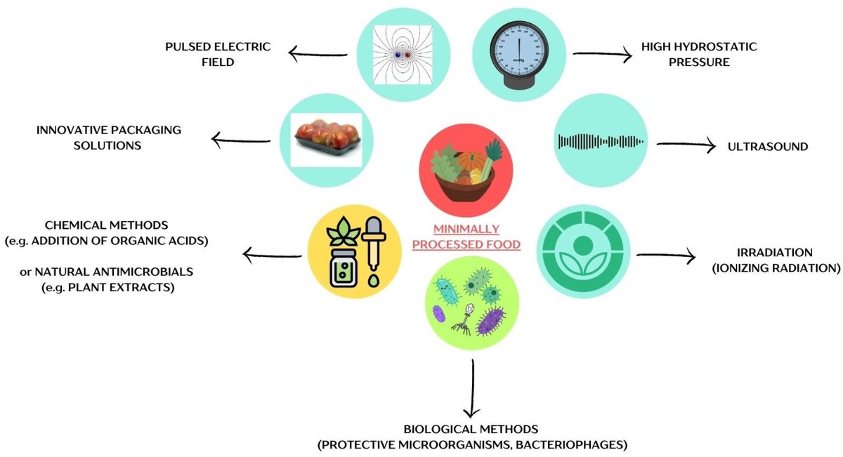 VirusesMDPI's tweet image. 🦠Dual Nature of Bacteriophages: Friends or Foes in Minimally Processed Food Products—A Comprehensive Review

✍️by Wójcicki et al. 

👉mdpi.com/1999-4915/17/6…
#Bacteriophages #foodborne