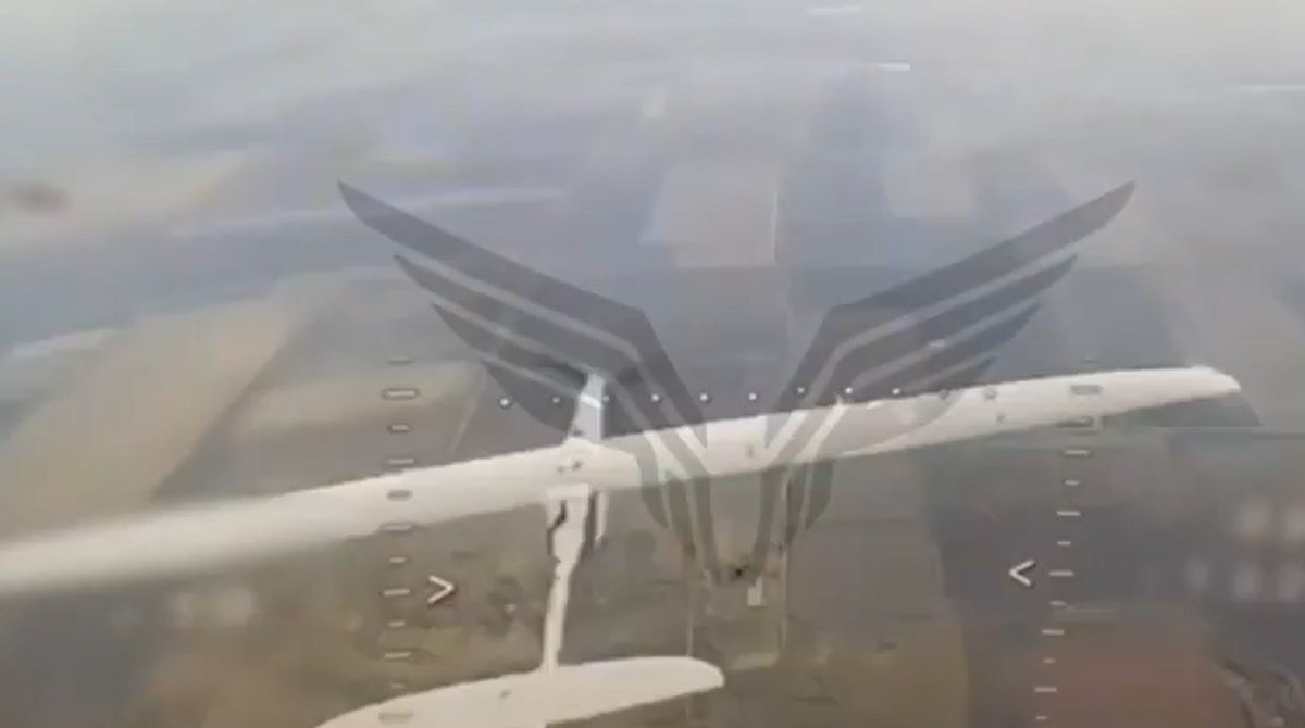 Remigiusz Wilk tweet media