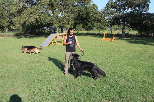 K9_Sensei's tweet image. 🎯 We set clear goals for each training session, ensuring measurable progress for your dog. 🐾 #GoalOrientedTraining #ProgressTracking #K9Sensei  k9sensei.com/training