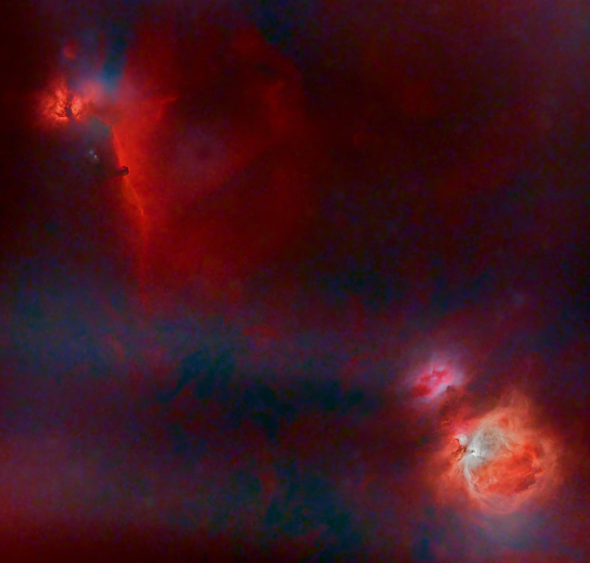 STARLESS M42 + Running Man + Flame &amp; Horsehead from London (Bortle 6) — 6 hrs total (1 hr UVIR) with an ASI533MM the ASI 533OSC + Antlia Triband. Still need O III to finish the palette — city skies can surprise you. #Astrophotography #M42 #ASI533 #uvir