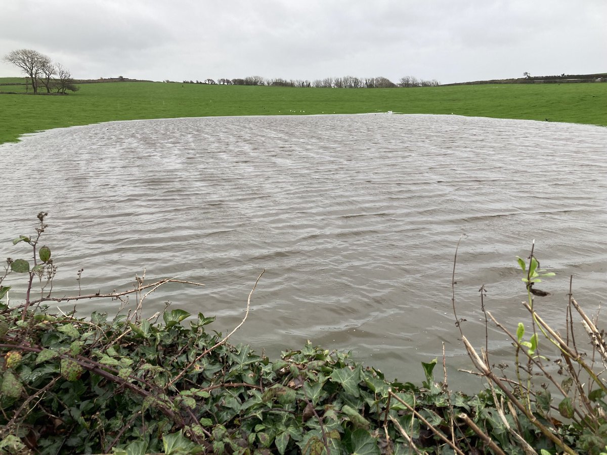 Definitely the ground is getting wet , Ballahot  lakes holding the water back till the drains can take it