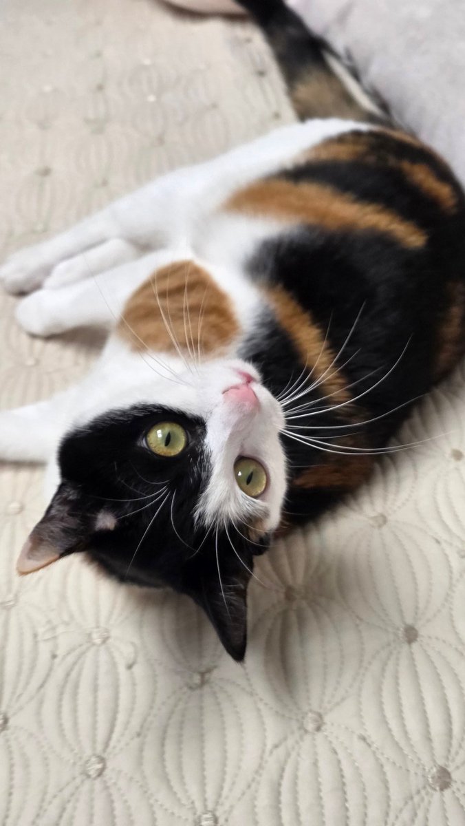 밀러 (@miller_sot) on Twitter photo 