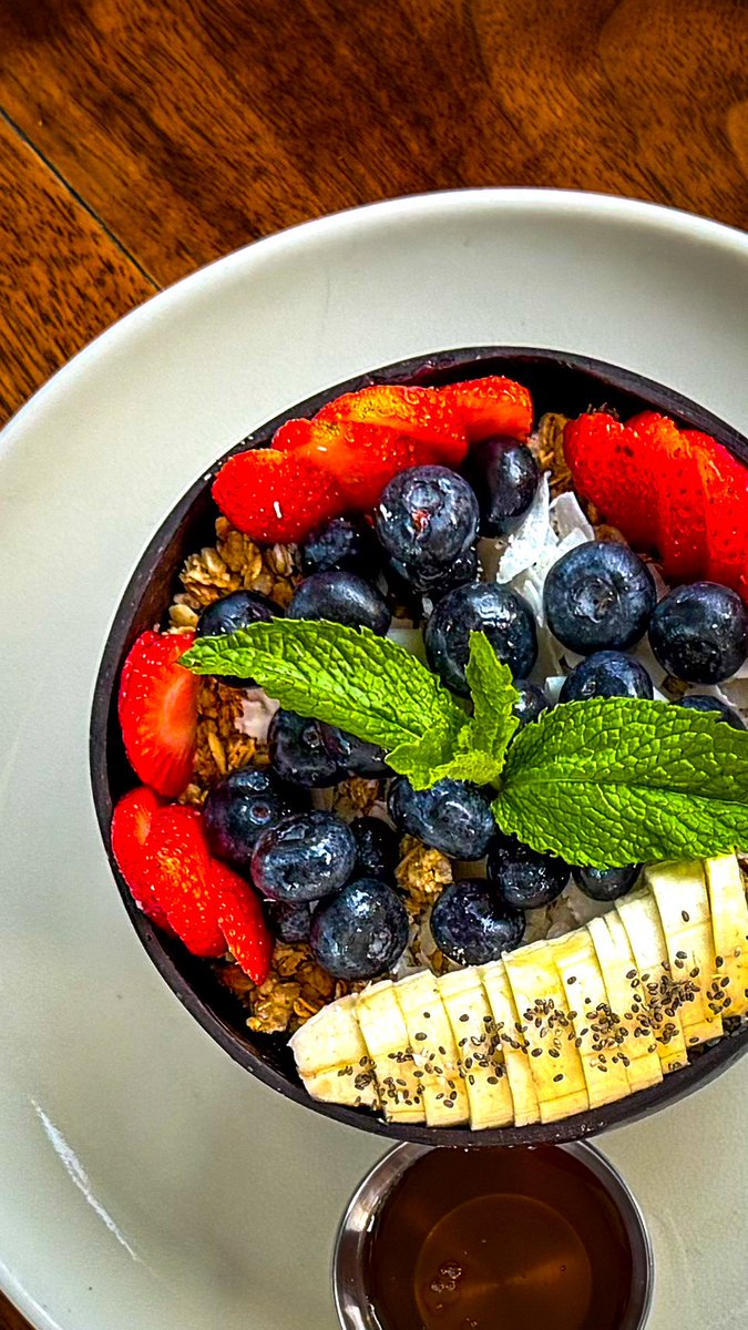 【大型】パピリオ・マヨ（1オス、アンダマン島） 大型】パピリオ・マヨ（1オス、アンダマン島）