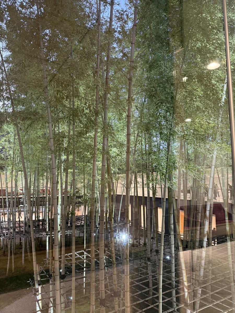 4f48kpMjSS8hjPt's tweet image. 25/11/14(金) 17:00開演 林部智史 CONCERT TOUR 2025・秋〜愛させてくれて ありがとう〜鎌倉芸術館大ホール in 神奈川〜秋晴れの行楽日和こんな日は心も晴れやかいそいそ速足で会場へ愛知から24日ぶりに聴く林部さんの生歌はとても新鮮💓来年の10周年記念卓上カレンダーも楽しみ🥰終演後の客席は笑顔🈵