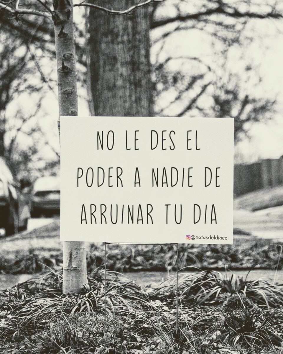 Patry ᥫ᭡ tweet media