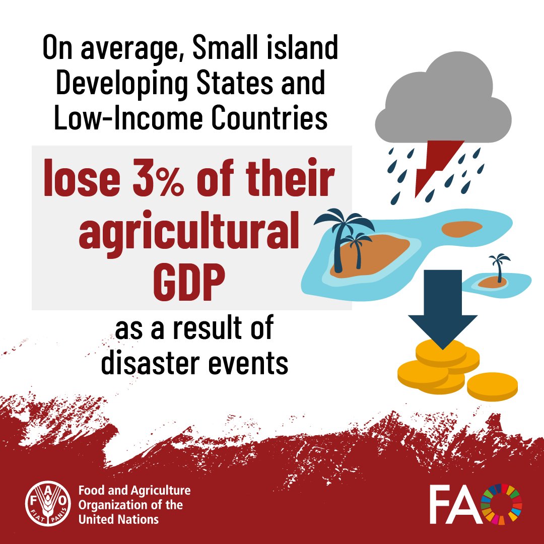 FAOstatistics's tweet image. #DYK SIDS &amp;amp; low-income countries are at risk for📉 agricultural GDPs post-disaster?

Learn this and much more in The Impact of Disasters on Agriculture &amp;amp; Food Security 2025: Digital solutions for reducing risks &amp;amp; impacts

Download YOUR copy today👇
📕doi.org/10.4060/cd7185…