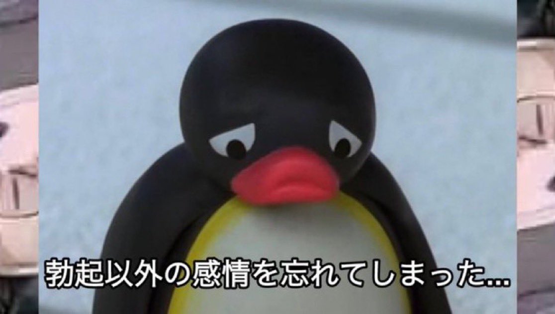 pingu_Archive's tweet image. 