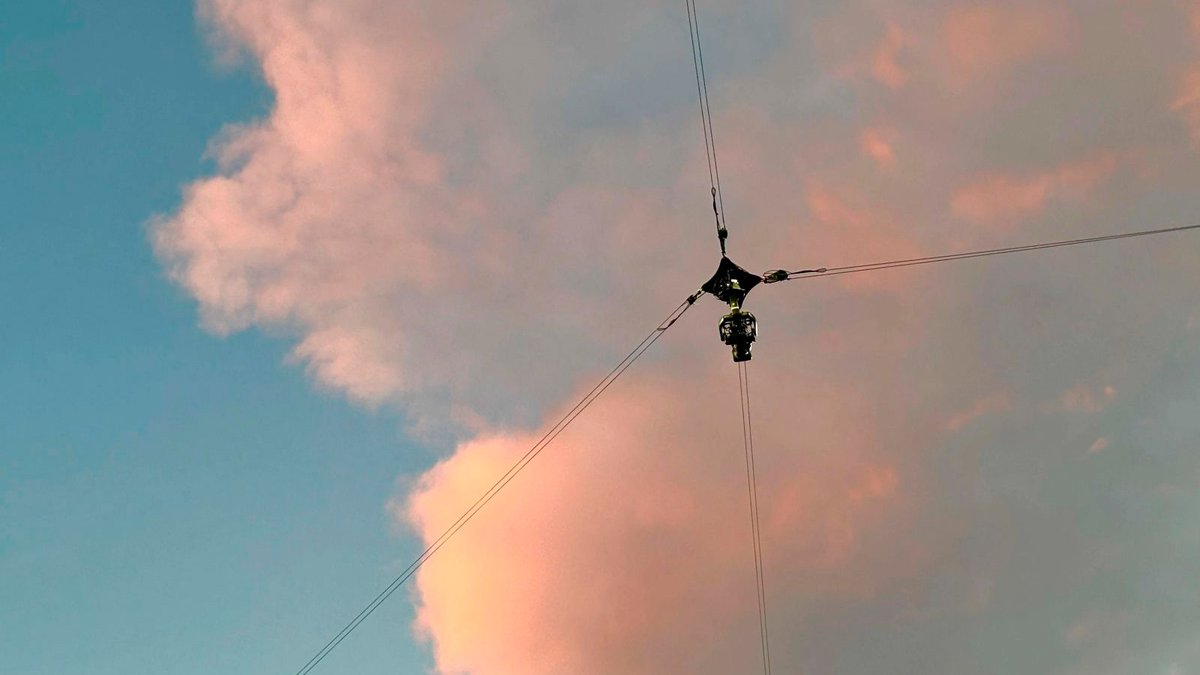 XD motion tweet media