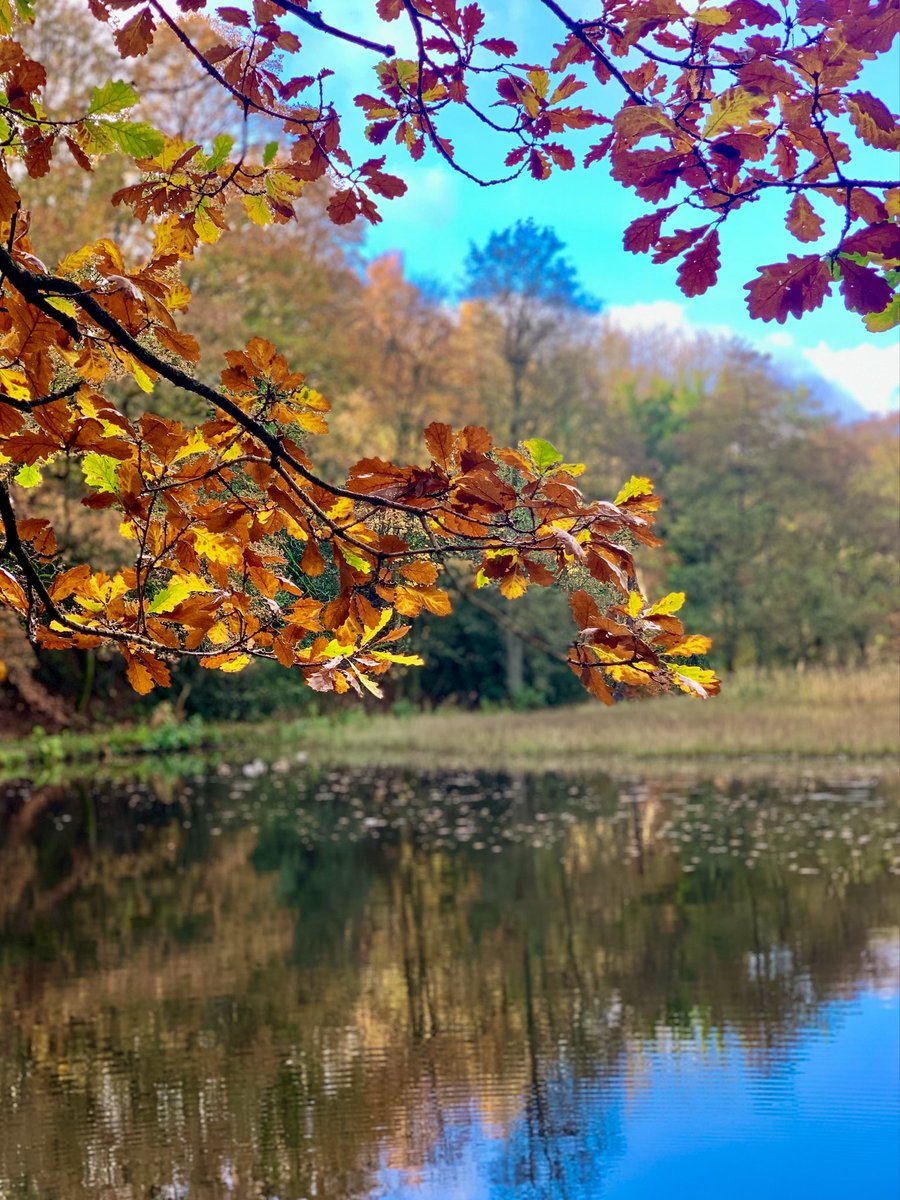 📍Hind Wheel Dam, Rivelin Valley Trail.

 #PhotoFriday #TheOutdoorCity 
#AutumnVibes #AutumnColours