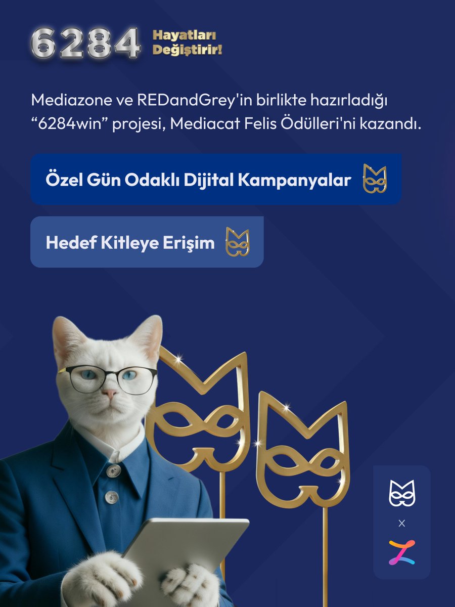 Mediazone ve REDandGrey'in birlikte hazırladığı, 8 Mart Dünya Kadınlar Günü'ne özel yayımlanan ve bahis reklamı zannedilerek tıklanıldığında okuyucuları kadın cinayetleri verileriyle karşı karşıya bırakan "6284win" projesi, MediaCat Felis Ödülleri’nin 'Özel Gün Odaklı Dijital