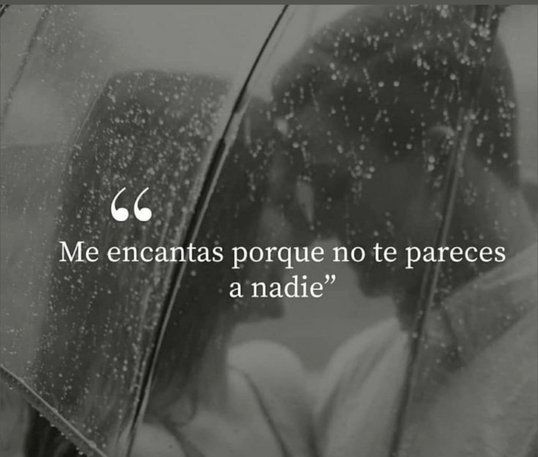_Angeles_mar_'s tweet photo. 🤍🤍      Me encantas 
          porque no te pareces
                       a nadie 

                           🤍🤍 https://t.co/4ShL75mNtL