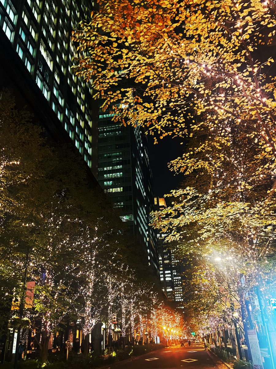 ノワール (@noir_taro) on Twitter photo 