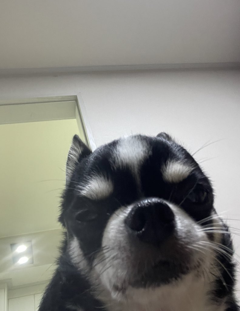 seoljooooo's tweet image. 